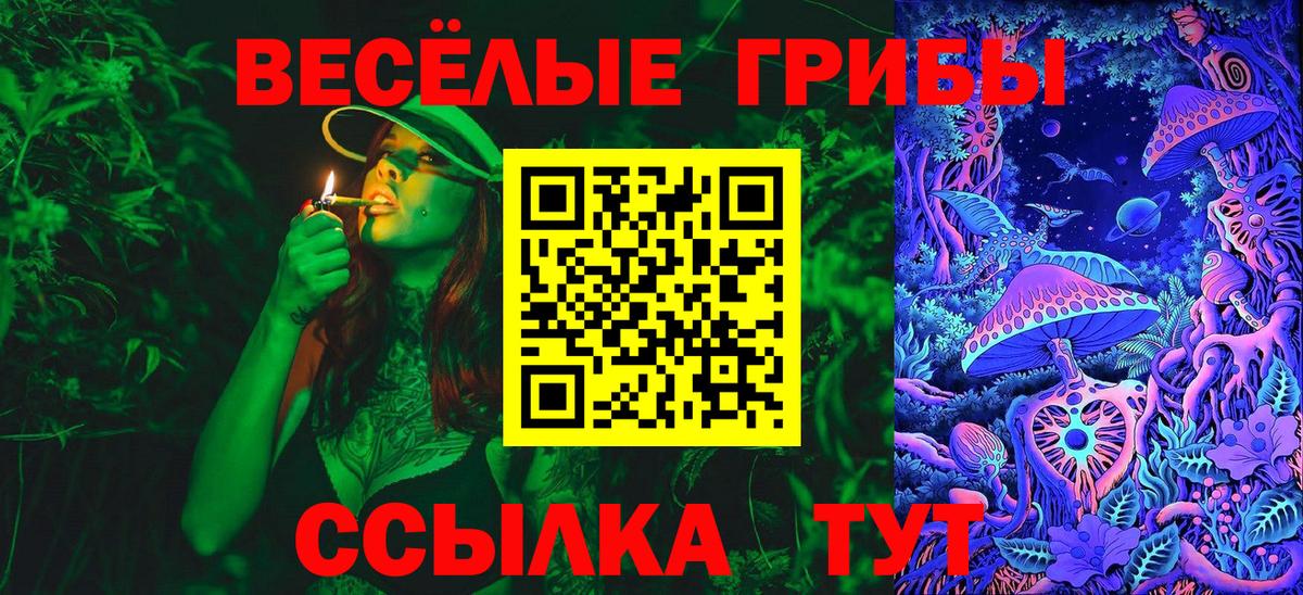 Галлюциногенные грибы Magic Shrooms Дзержинск