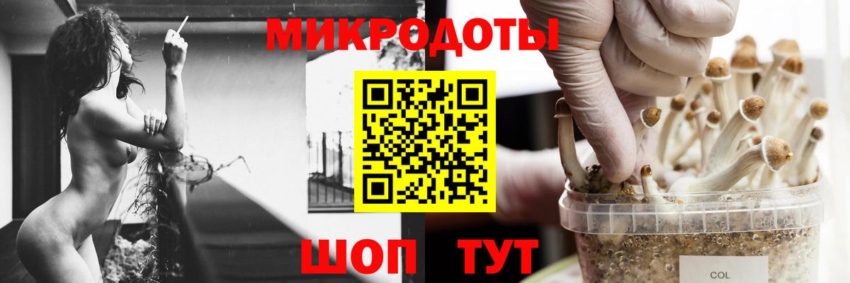 магазин  наркотиков  Вход с VPN  Дзержинск  Псилоцибиновые грибы Psilocybine cubensis 